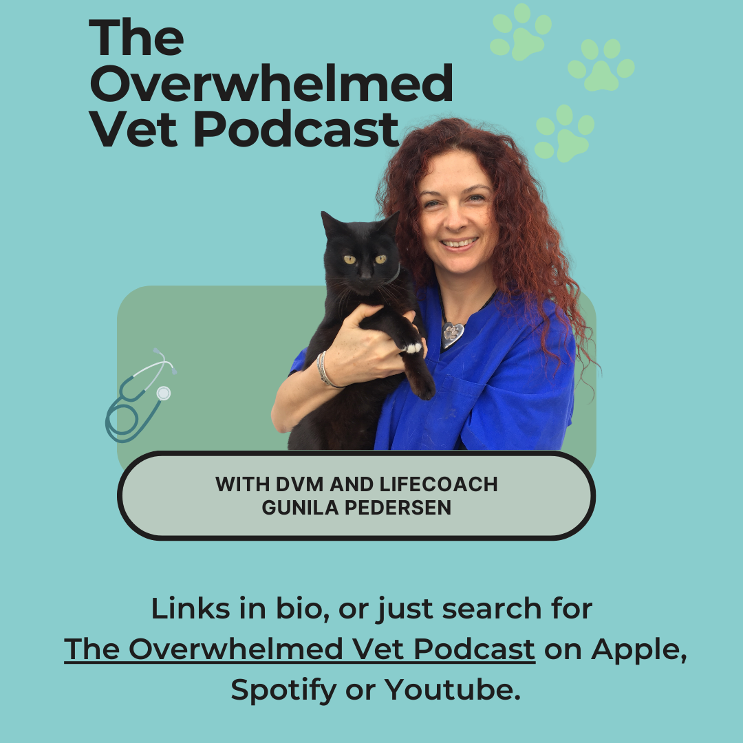 The Overwhelmed Vet Podcast
